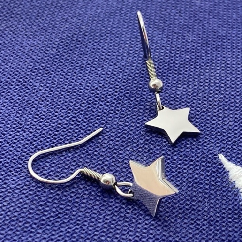 Petite Star Stainless Steel Earrings